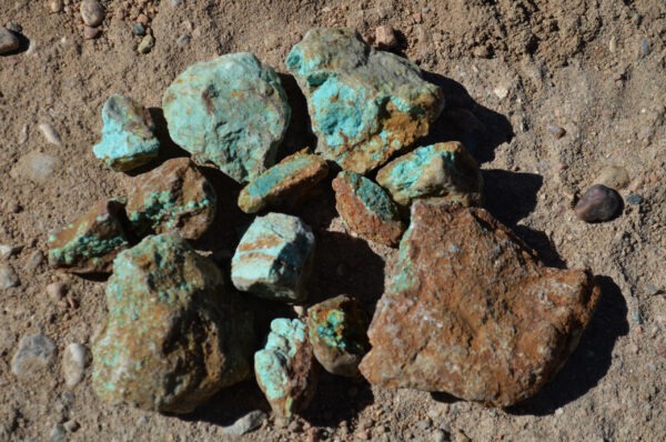 #8 Mine Turquoise Rough from Nevada