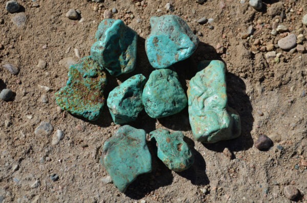 Alacran Turquoise Rough from Sonora, Mexico